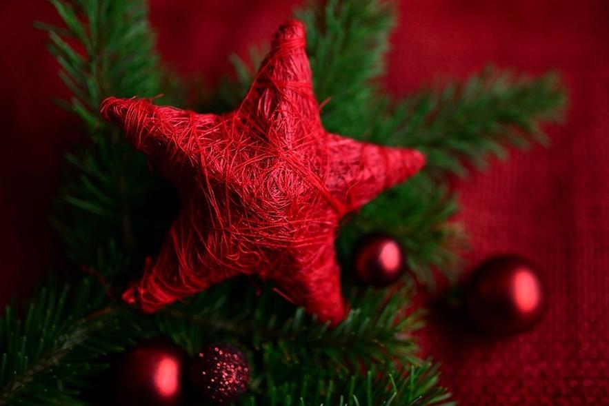 Auszeit im Advent, roter Weihnachtsstern