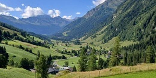 Blick in ein Hochtal in den Alpen; Bergkämme, Wiesen und Bäume vor blauem Himmel mit weißen Wolken