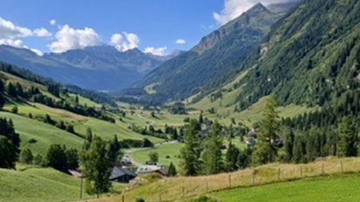 Blick in ein Hochtal in den Alpen; Bergkämme, Wiesen und Bäume vor blauem Himmel mit weißen Wolken