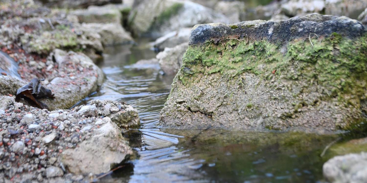Oase Symbolbild; hier als Foto eines Baches, der zwischen kleinen Felsen verläuft (c) Bild: Yohanes Vianey Lein In: Pfarrbriefservice.de Oase Symbolbild; hier als Foto eines Baches, der zwischen kleinen Felsen verläuft