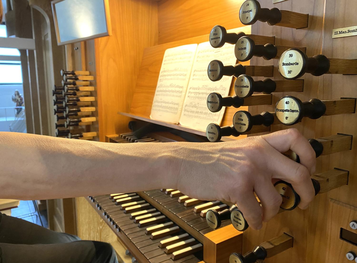 Orgel