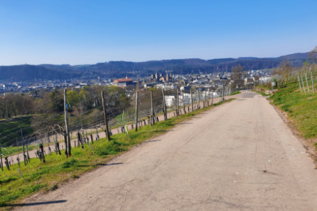 Das Foto zeigt den Blick vom Petrisberg über die Weinberge ins Tal nach Trier