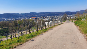 Das Foto zeigt den Blick vom Petrisberg über die Weinberge ins Tal nach Trier