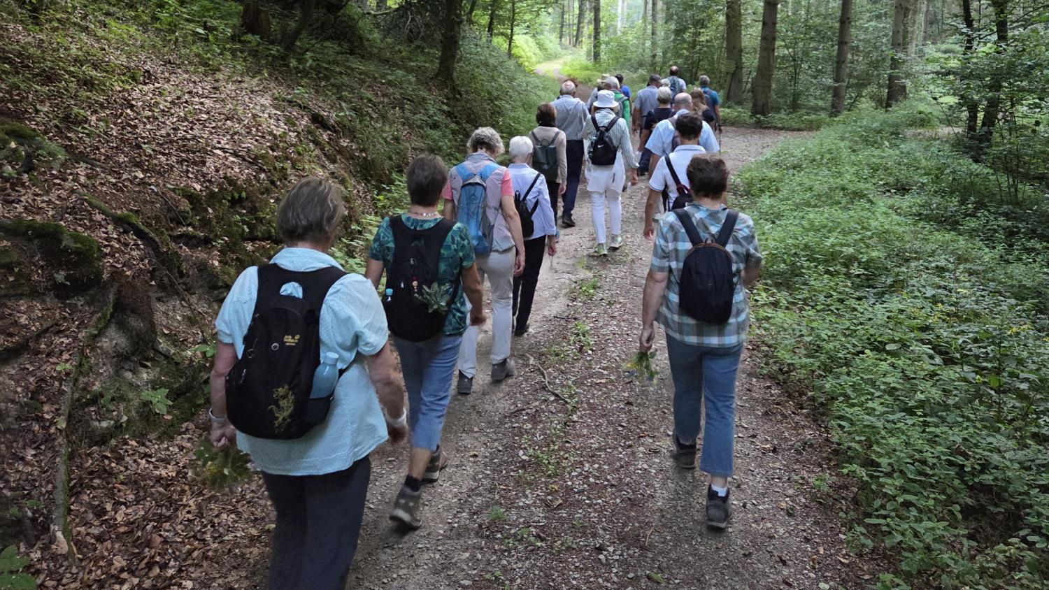 Gruppe von Wanderern bzw. Pilgern auf Waldweg