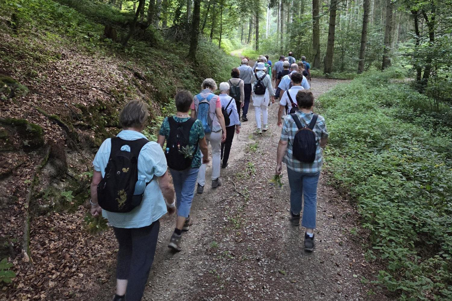 Gruppe von Wanderern bzw. Pilgern auf Waldweg