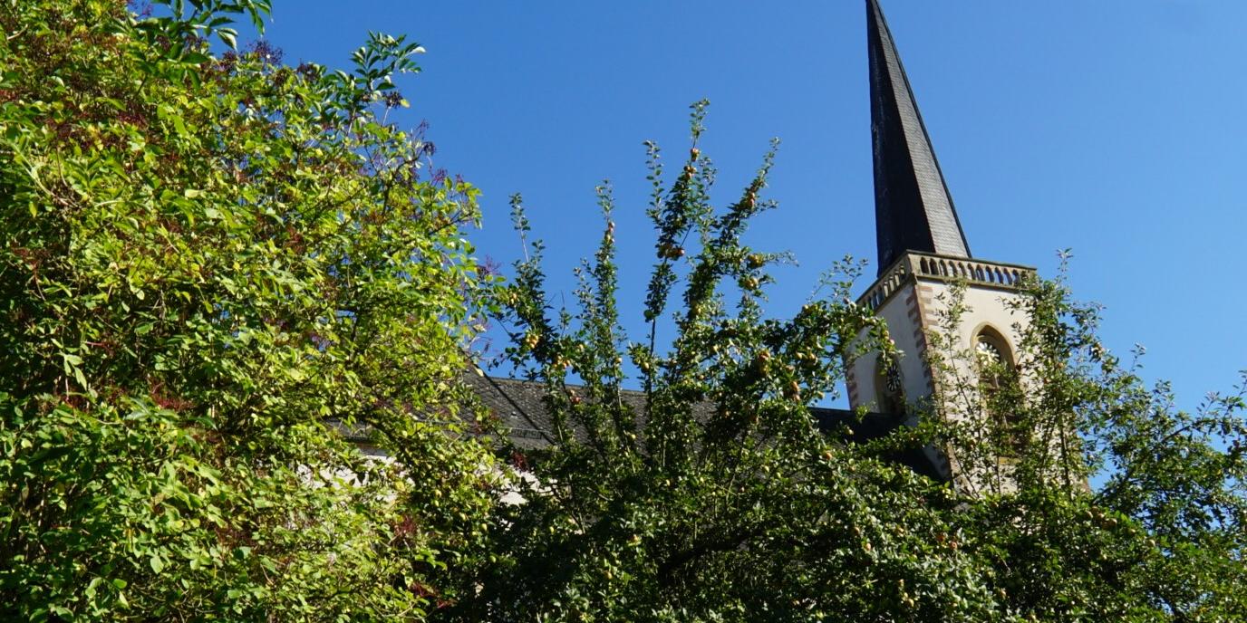St. Josef Elm