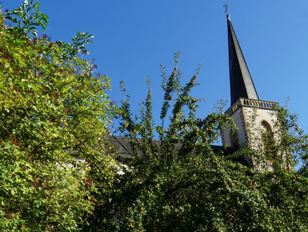 Elisabethenverein ST. JOSEF ELM