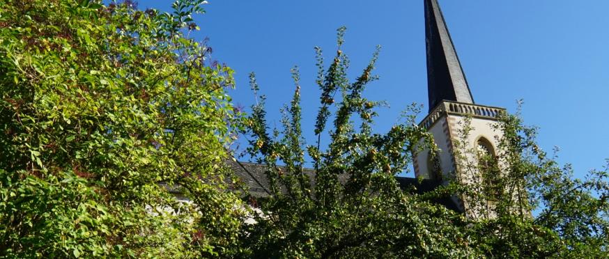 Elisabethenverein ST. JOSEF ELM