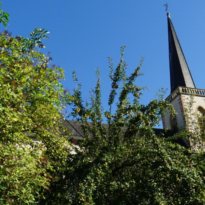 Elisabethenverein ST. JOSEF ELM